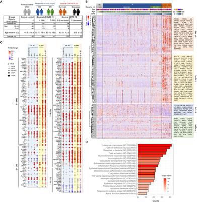 Elevated IFNA1 and suppressed IL12p40 associated with persistent hyperinflammation in COVID-19 pneumonia